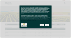 Desktop Screenshot of brasilcapital.com
